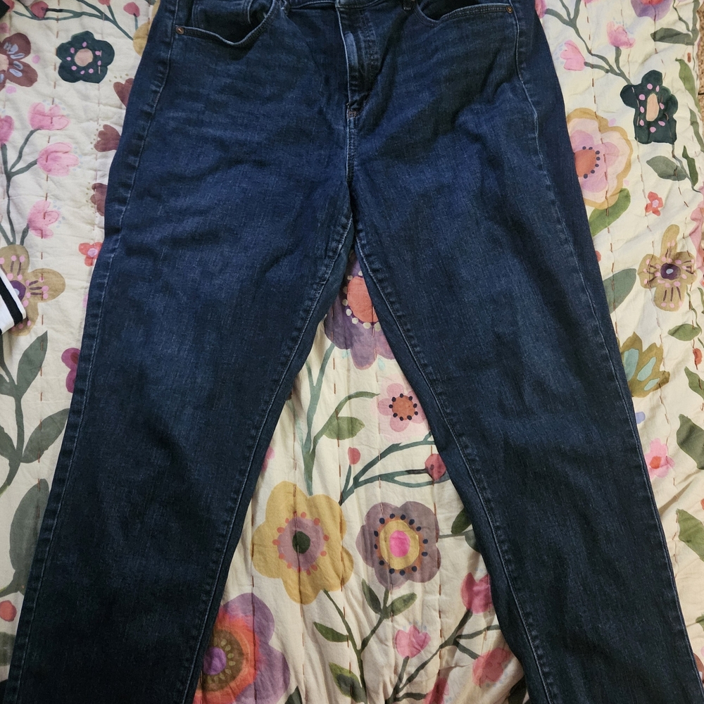 LOFT Dark Blue Ankle Jeans